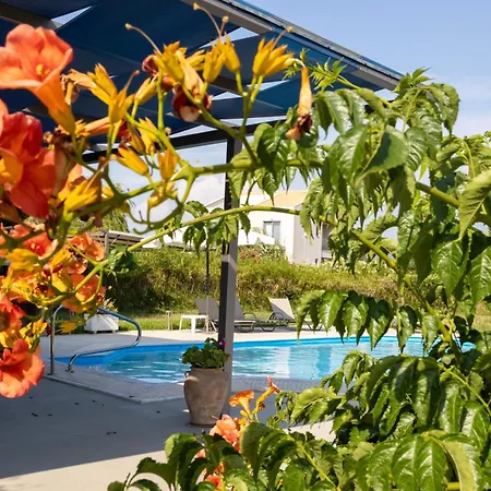 Seaview Aris With Private Pool By Lefkadastay