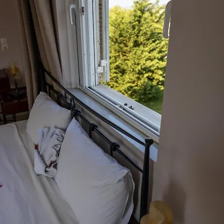 Seaview Aris With Private Pool By Lefkadastay Villa *